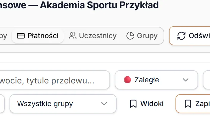 Zakładka Płatności otwarta z pozycji — filtr zaległych